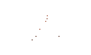 Company Profile / Brand Book